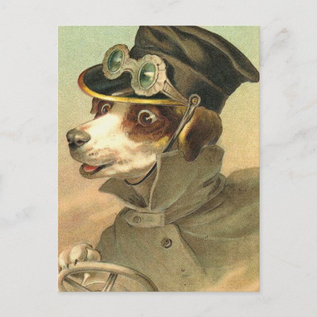 Carte Postale Pilote Doggy (Devant)