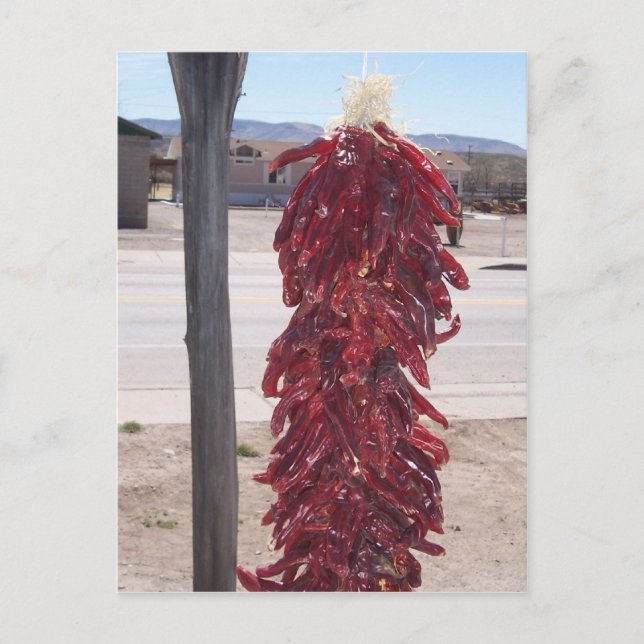 Carte Postale piments chauds rouges à Hatch Nouveau-Mexique (Devant)