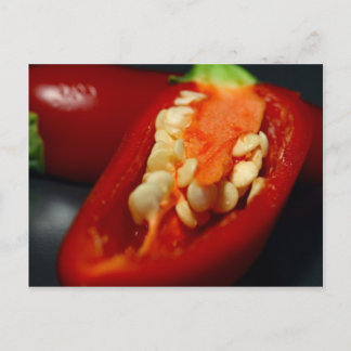 Carte Postale piments, semence morte