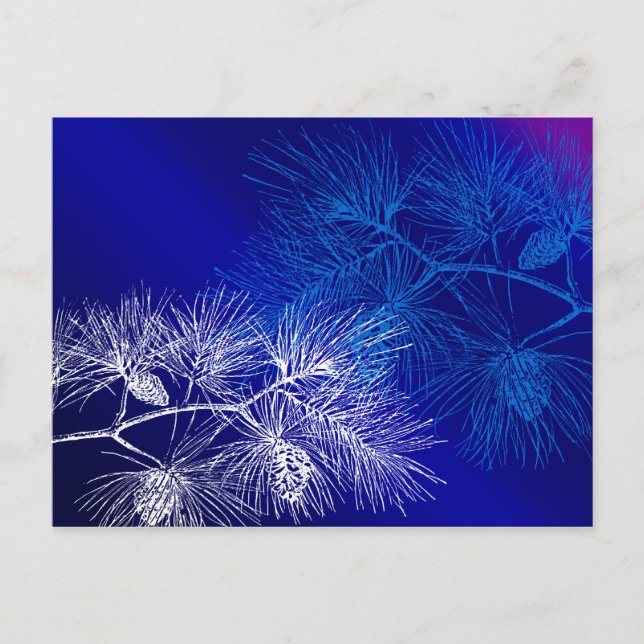 Carte Postale Pin d'hiver bleu et blanc (Devant)
