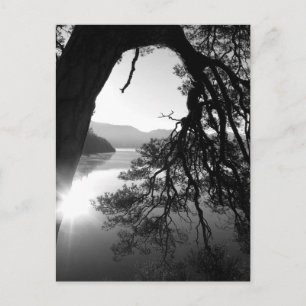 Carte Postale Pin penché : Friar's Crag, Derwentwater