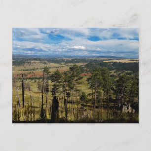 Carte Postale Pin Ponderosa de la tour Devils
