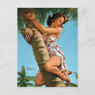 Carte Postale Pin-up fille avec noix de coco dans un palmier vin