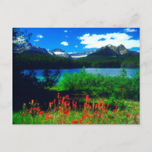 Carte Postale Pinceaux indiens fleurs sauvages