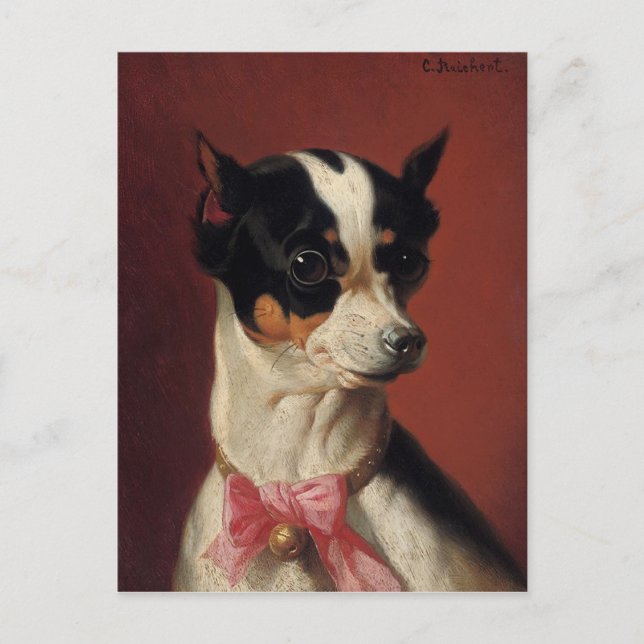 Carte postale Pincher Toy (Devant)