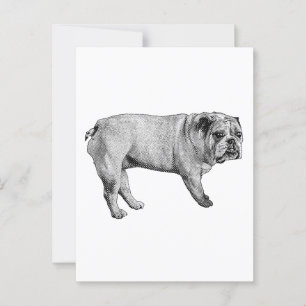 Carte postale Pine-Edge