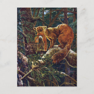 Carte Postale Pine Marten avec proie