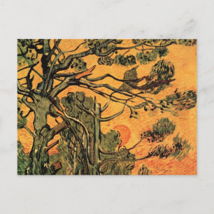 Carte Postale Pine Trees Red Sky Setting Soleil par Vincent van