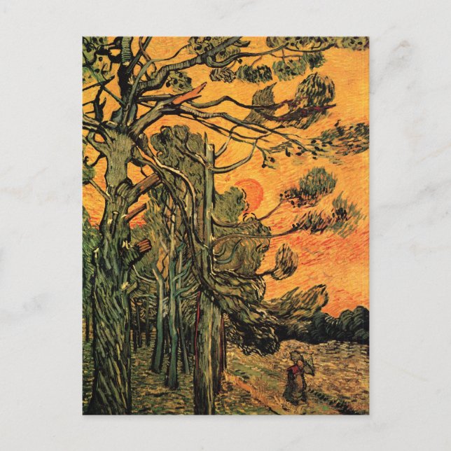 Carte Postale Pine Trees Red Sky Sunset Van Gogh Art (Devant)
