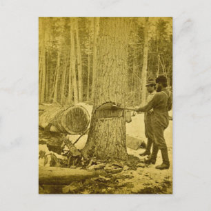 Carte Postale Pineries of Michigan Goodridge Brothers Saginaw MI