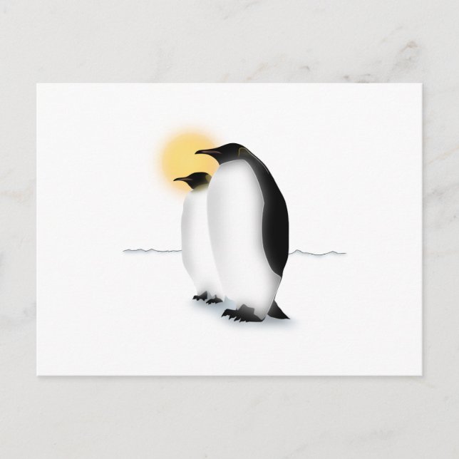 Carte Postale Pingouin (Devant)