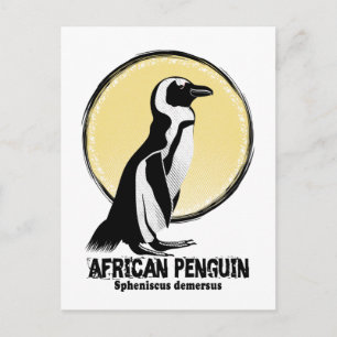 Carte Postale Pingouin africain
