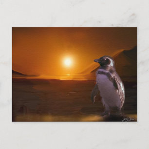 Carte Postale Pingouin & Antarctique Sunset Art