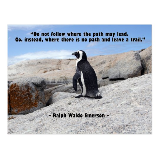 Carte Postale Pingouin Citation De Ralph Waldo Emerson Zazzle Fr