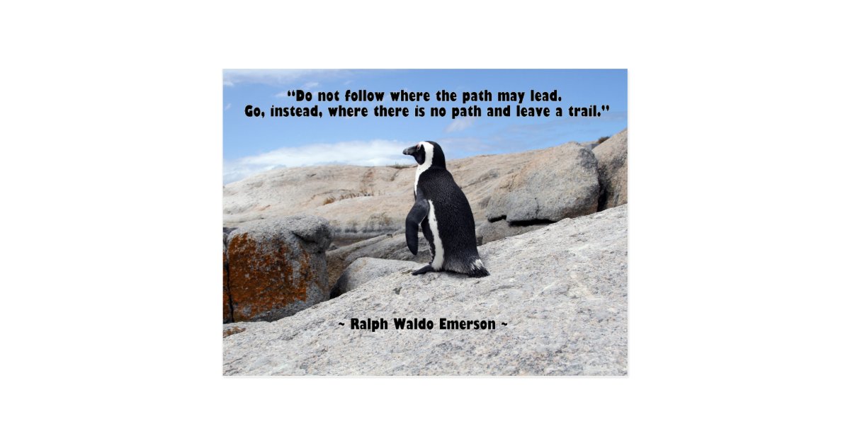 Carte Postale Pingouin Citation De Ralph Waldo Emerson Zazzle Fr