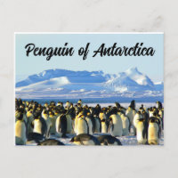 Pingouin de l'Antarctique