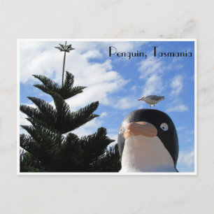 Carte Postale pingouin et goéland