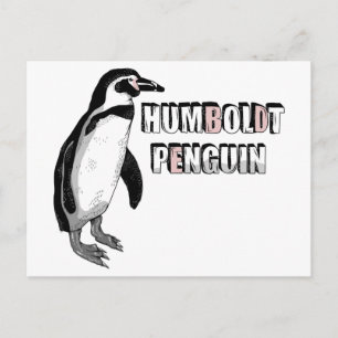 Carte Postale Pingouin Humboldt