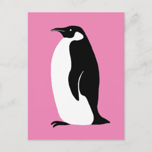 Carte Postale Pingouin rose blanc