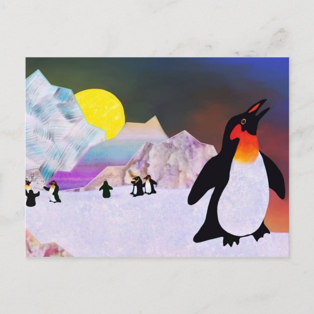 Carte Postale Pingouins (Devant)