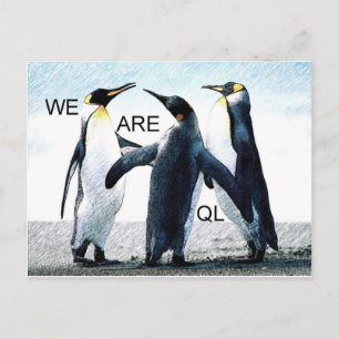 Carte Postale pingouins