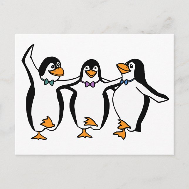 Carte Postale Pingouins (Devant)