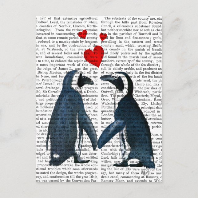 Carte Postale Pingouins Avec Coeurs D'Amour (Devant)