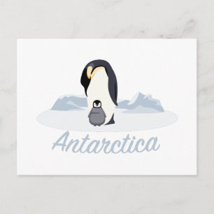 Carte Postale Pingouins de l'Antarctique
