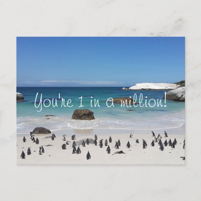 Carte Postale Pingouins drôles Merci (Devant)