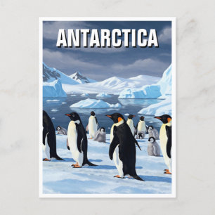 Carte Postale Pingouins en Antarctique
