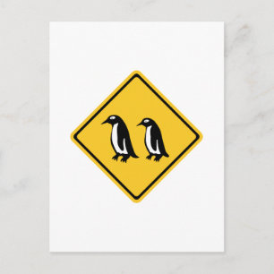 Carte Postale Pingouins, Panneau de signalisation, Nouvelle-Zéla