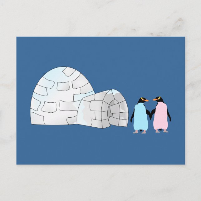 Carte Postale Pingouins roses et bleus à igloo (Devant)