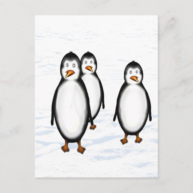 Carte Postale Pinguine (Devant)