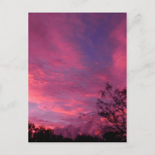 Carte Postale Pink and Blue Sunset Sunrise Sky Ciel Photo