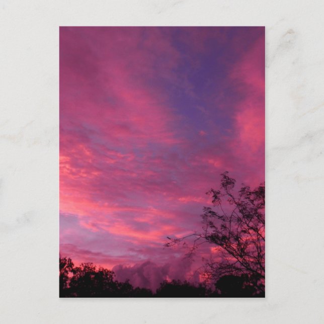 Carte Postale Pink and Blue Sunset Sunrise Sky Ciel Photo (Devant)