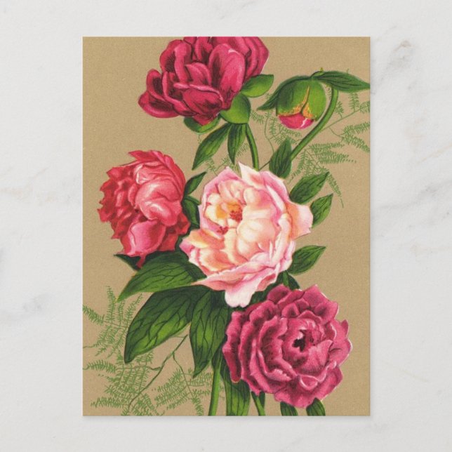 Carte Postale Pink And Red Roses Painting (Devant)