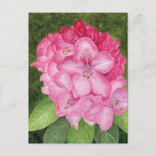 Carte postale Pink Azalea Art