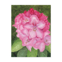 Carte postale Pink Azalea Art