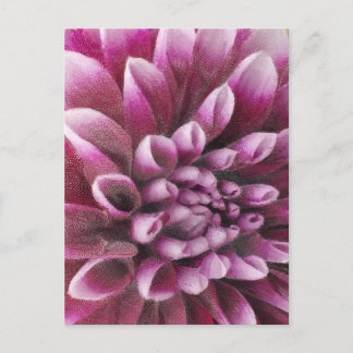 Carte Postale Pink Dahlia