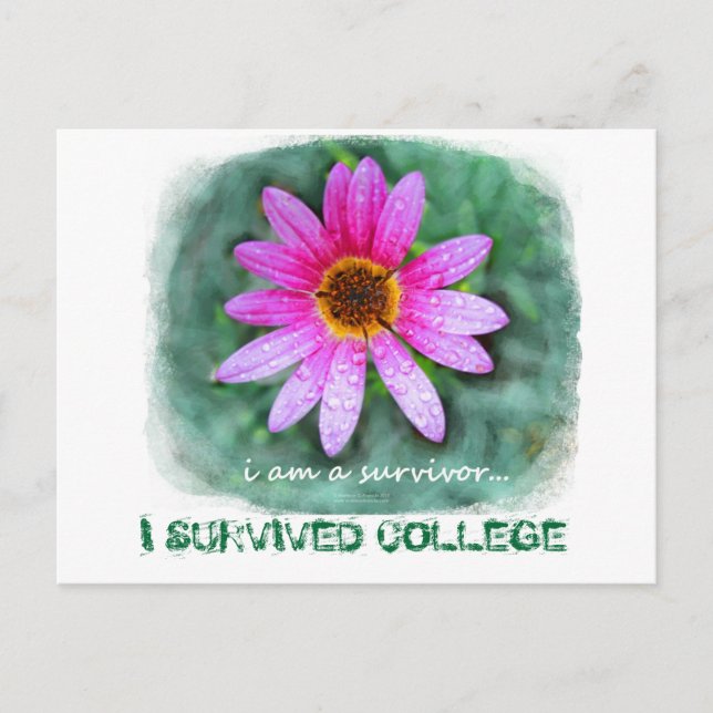 Carte Postale Pink Daisy Je suis un survivant (Devant)