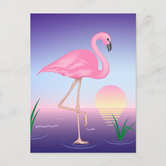 Carte Postale Pink Flamingo (Devant)