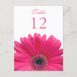 Carte Postale Pink Gerbera Daisy Table Number Card