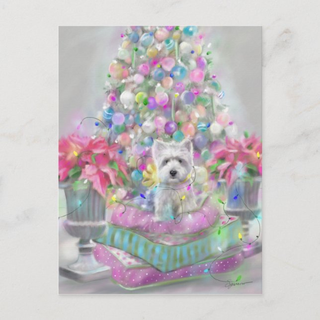 Carte Postale Pink Poinsettias (Devant)