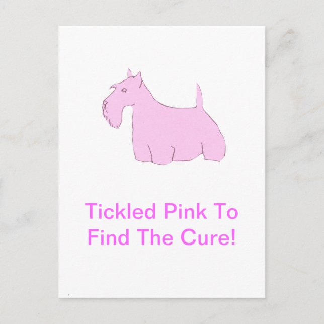 Carte Postale Pink Scottish Terrier (Devant)