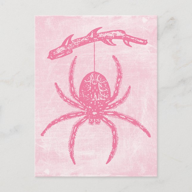 Carte postale Pink Spider (Devant)