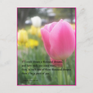 Carte Postale Pink Tulip Poem A Mille Rêves