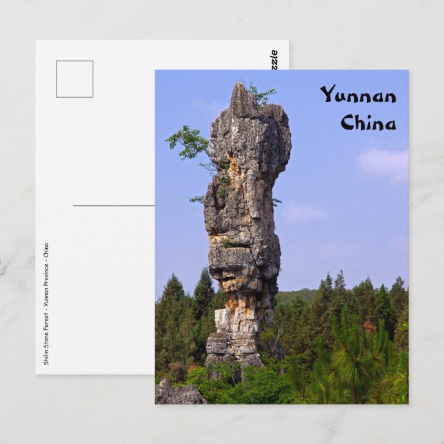 Carte Postale Pinnacles de Shilin Forêt de pierre - Yunnan,Chine (Devant / Derrière)