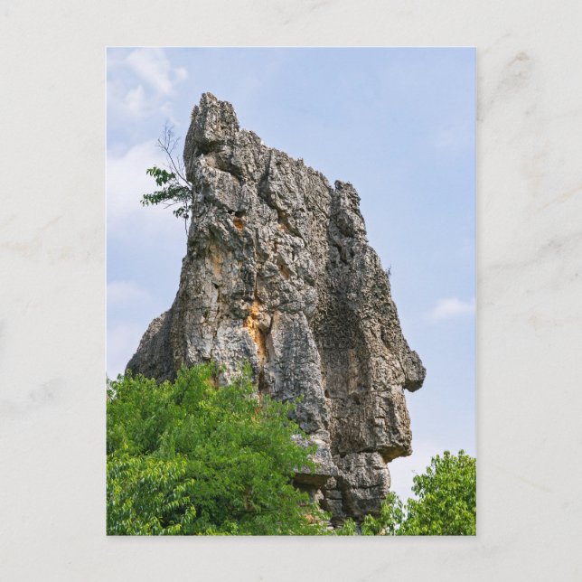 Carte Postale Pinnacles de Shilin Forêt de pierre - Yunnan,Chine (Devant)