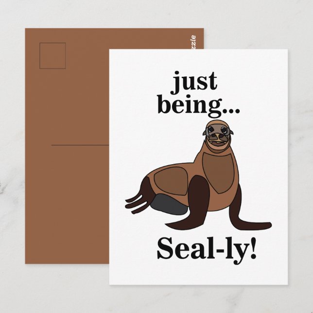 Carte Postale Pinnipeds Seal Funny (Devant / Derrière)