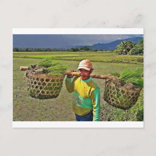 Carte Postale Pinoy1.jpg (Devant)